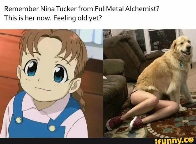 Featured image of post Fullmetal Alchemist Memes Nina